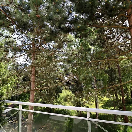 Strandappartement Fischland 123 Dierhagen